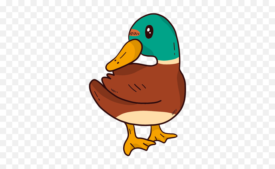 Cute Drake Duck Wild Beak Wing Flat - Transparent Png Cute Duck Png,Duck Png