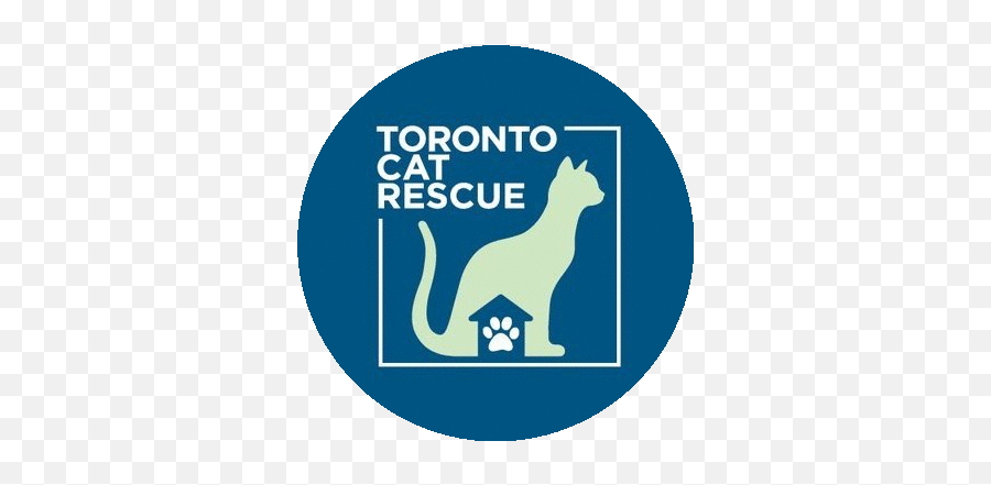 How You Can Help Local Rescues U2013 Pawkee Pet Sitting - Toronto Cat Rescue Png,Icon Street Angel