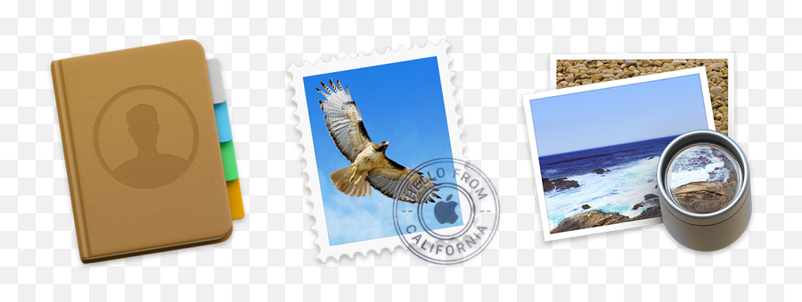 App Design - Mail Logo Apple Mac Png,Consistent Icon