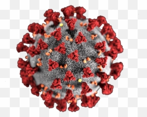 Do You Have Covid - 19 or the Common Cold Kuala Lumpur Delta Variant Png
