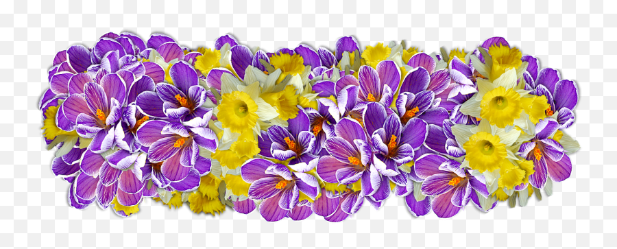 Flowers Decoration Line Of Png Decor