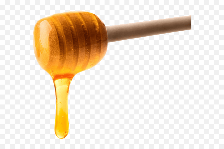 Picture - Transparent Honey Drip Png,Honey Transparent