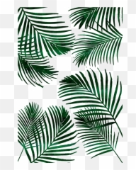 Tropical Palm Leaf Wall Tapestry By Naturemagick - Painting png