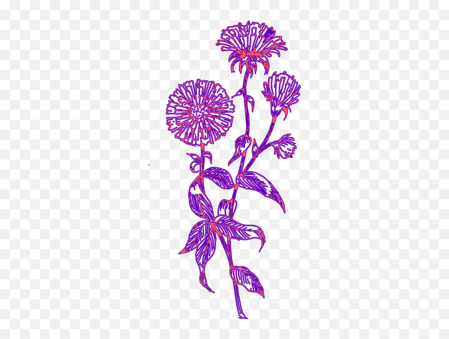 Purple Flower 11 Clip Art - Vector Clip Art Aster Flower Vector Png,Purple Flower Border Png