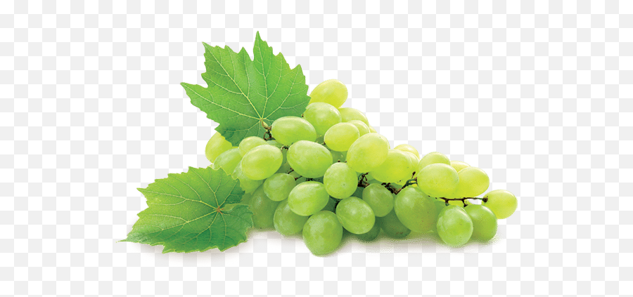 White Table Grape Les Domaines Export - Grape Png,Raisin Png