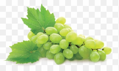 White Table Grape Les Domaines Export - Grape Png,Raisin Png