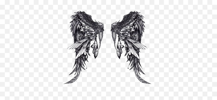 Wings - Png Pictures Angel Wings Tattoo Full Size Png Dark Angel Wings Tattoo,Realistic Angel Wings Png