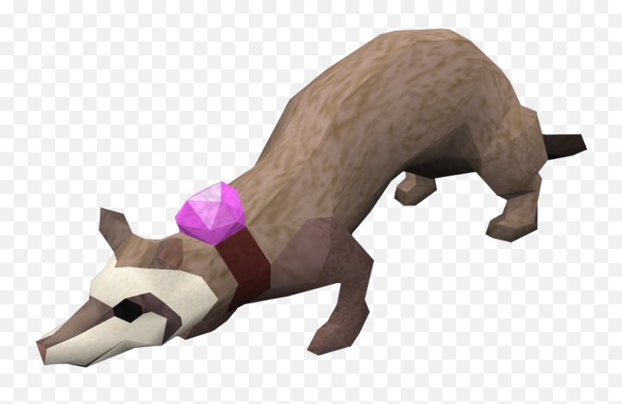 Ferret Dungeoneering - The Runescape Wiki Runescape Ferret Png,Ferret Png