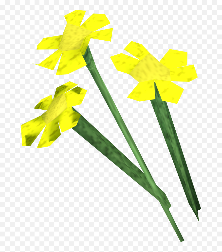 Yellow Flowers Runescape Wiki Fandom - Runescape Flowers Png,Yellow Flower Png