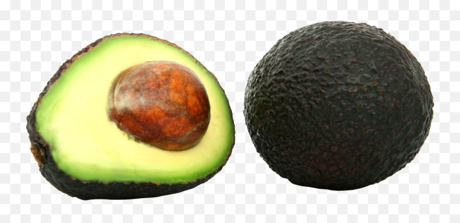 Download Avocado Png Image For Free Transparent