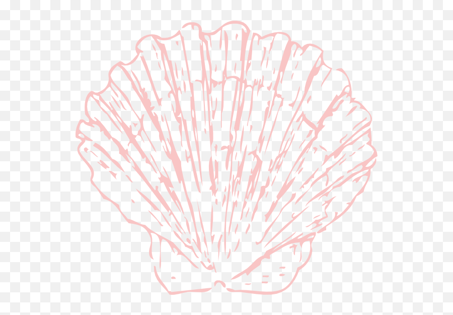 Drawing Shell Clip Art - Clipart Seashell Transparent Png,Seashell Transparent