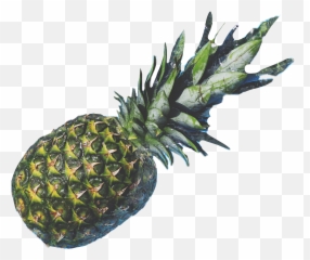 Png - Leuke Achtergronden Met Ananas,Party People Png