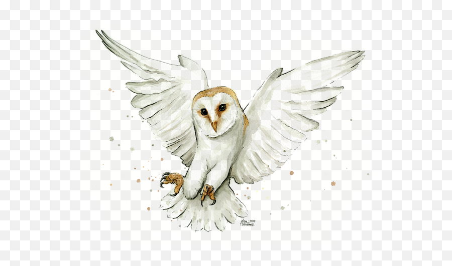 Barn Owl Flying Watercolor Onesie For - Barn Owl Watercolor Png,Barn Owl Png