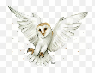 Barn Owl Flying Watercolor Onesie For - Barn Owl Watercolor Png,Barn Owl Png