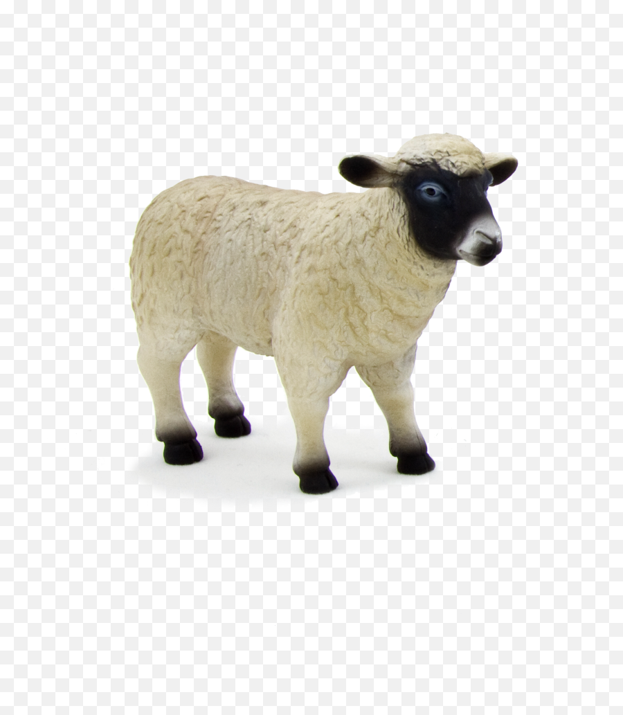 Animal Planet Black Faced Sheep Ewe - Elephanta Elephanta Figurine Mouton Png,Sheep Transparent