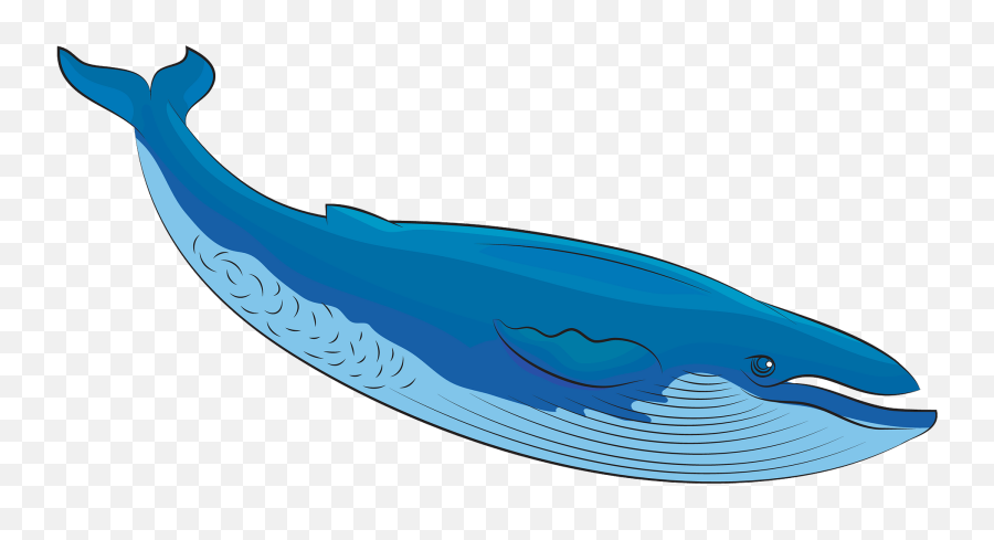 Blue Whale Clipart - Clip Art Blue Whale Png,Blue Whale Png