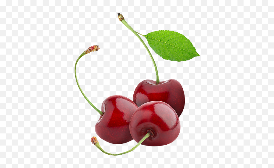 Cherries - Tart Cherry No Background Png,Cherry Transparent Background