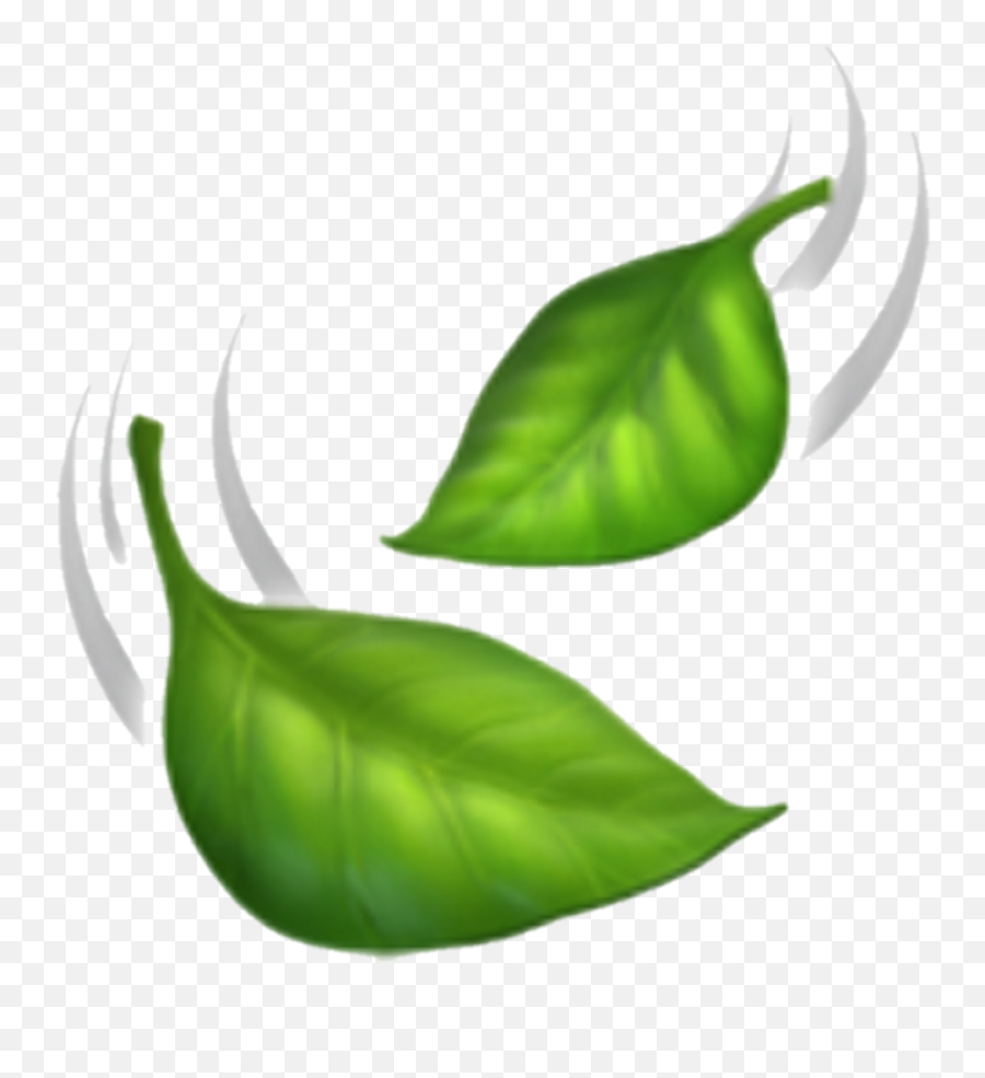 Leaves Emoji Clipart - Iphone Leaf Emoji Png,Leaf Emoji Png