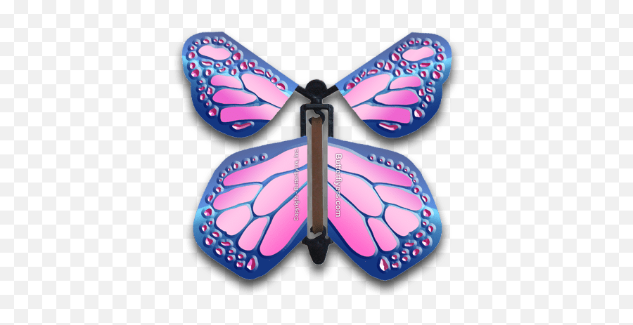 Cobalt Pink Monarch Flying Butterfly - Girly Png,Butterfly Flying Png