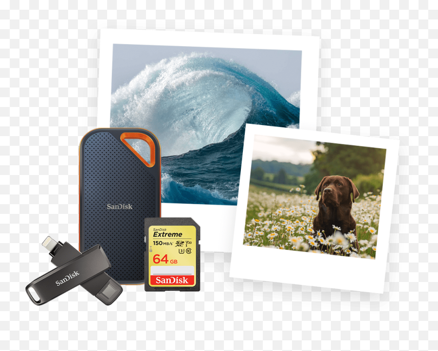 Portable Hard Drives Sd Memory Card U0026 Flash For Pc - Picture Frame Png,Dlf Icon Resale