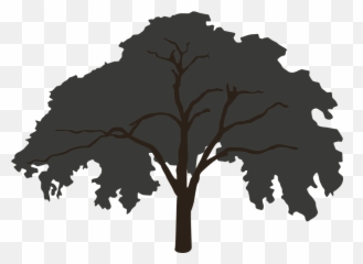 Tree Silhouette Big - Forest Tree Silhouette Big Png,Big Tree Png