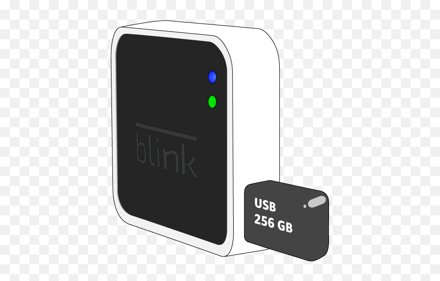 Blink U2014 Local Storage Troubleshooting - Smart Device Png,Change Usb Icon