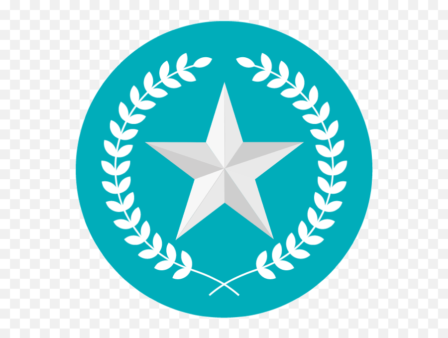 Medicom Hemostat Expert - Credly Nk Sampion Logo Png,Texas Icon Vector