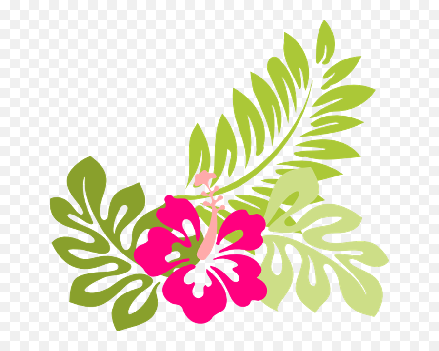 Hawaiian Cartoon Images 3 - 600 X 552 Webcomicmsnet Tropical Flower Clipart Png,Flower Cartoon Png