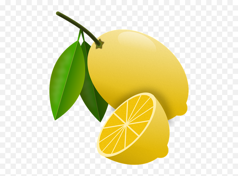 Lemons Citrus Fruits - Free Image On Pixabay Lemon Png,Lemon Tree Png