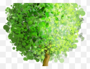 Download Willow Tree Clipart - Tree Art Png,Willow Tree Png