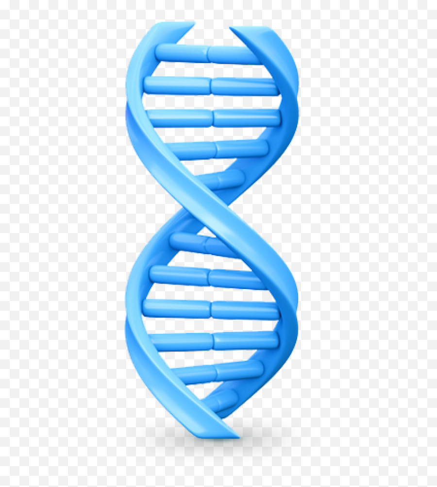 Download Dna Png Image With Transparent - Png Transparent Background Dna Png,Dna Transparent Background