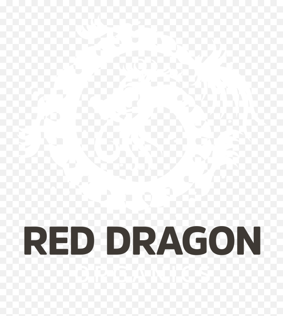 Dragon Symbol Png - Illustration,Dragon Symbol Png