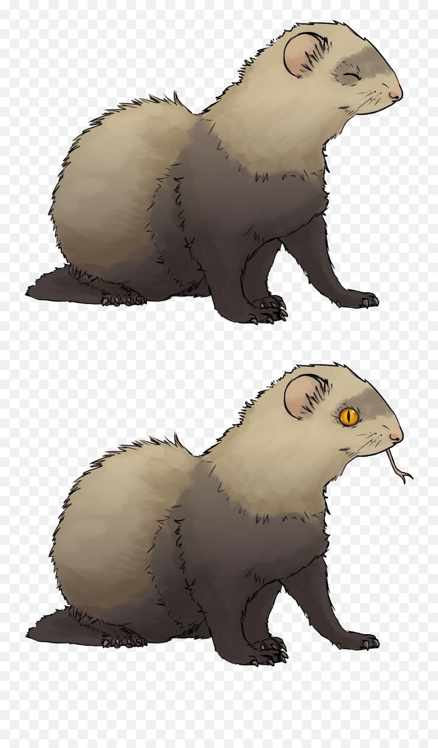 Another Ferret Request U2014 Weasyl - Ferret Png,Ferret Png