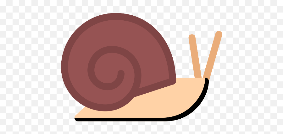 Snail Png Icon - Snail,Snail Png