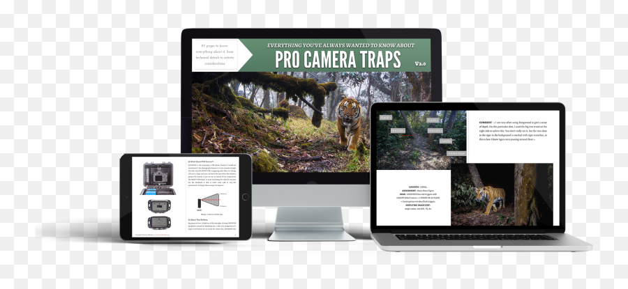 Pro Camera Traps - Woodland Png,Tiger Scratch Png