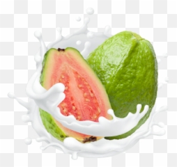 Guava Png Images - Common Guava,Guava Png