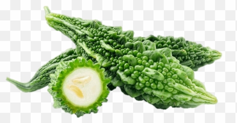 Bitter Melon Png U0026 Free Melonpng Transparent Images - Bitter Gourd Images Png,Melon Png