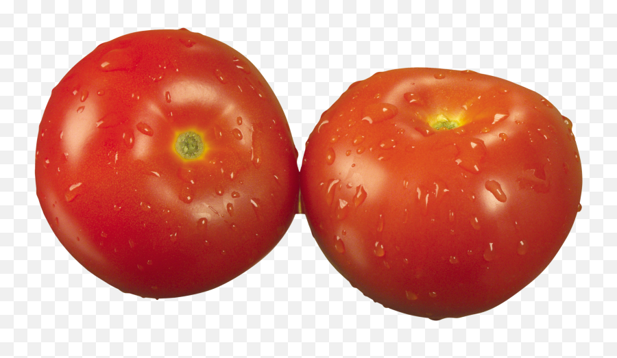Tomato In Png Web Icons Transparent Background