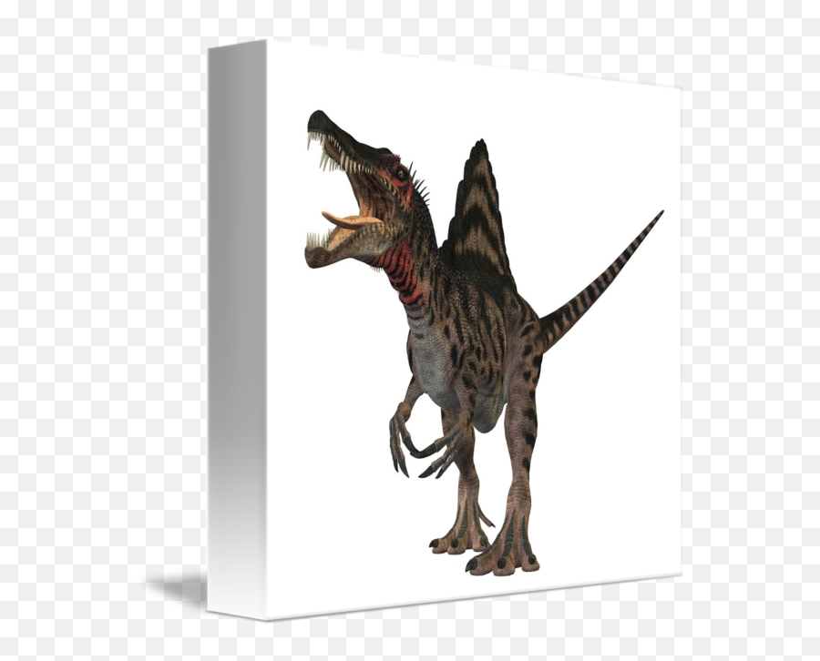 Spinosaurus Dinosaur By Stocktrek Images - Dinosaur Real Spinosaurus Png,Spinosaurus Png
