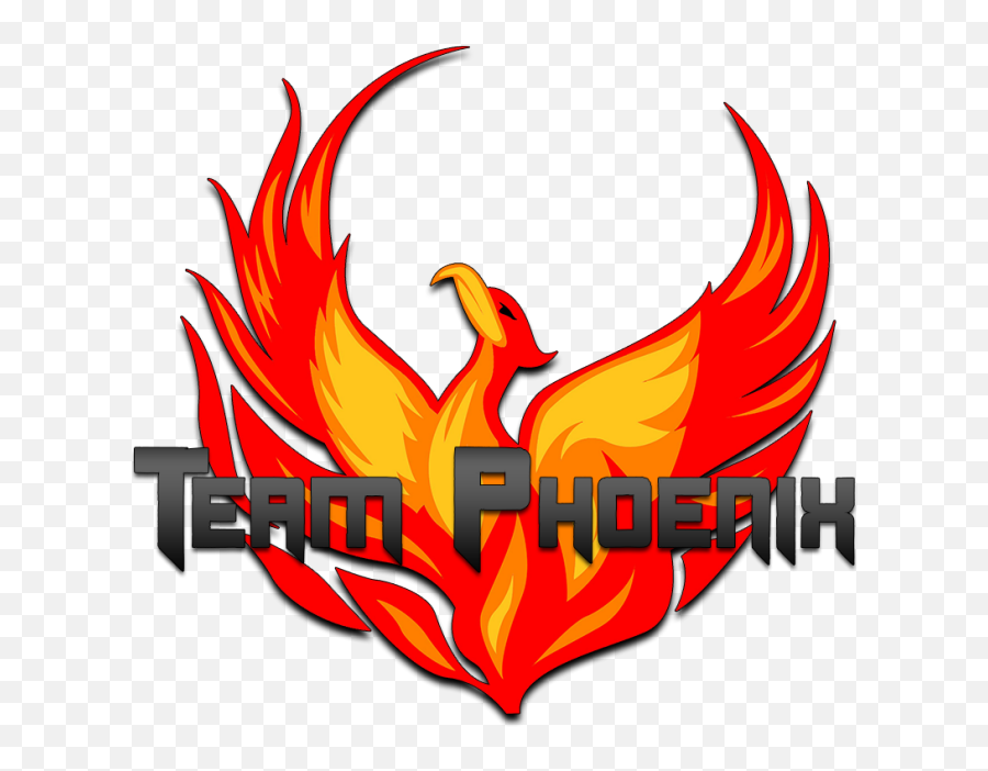 Call Of Duty Team Logos By Joseph Meche - Phoenix Logo Png,Call Of Duty Logo