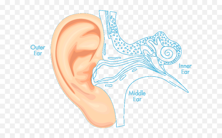 Auro Ear Drops - Disease Png,Ear Transparent