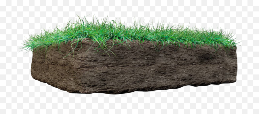 Grass - Grass With Mud Png,Mud Png