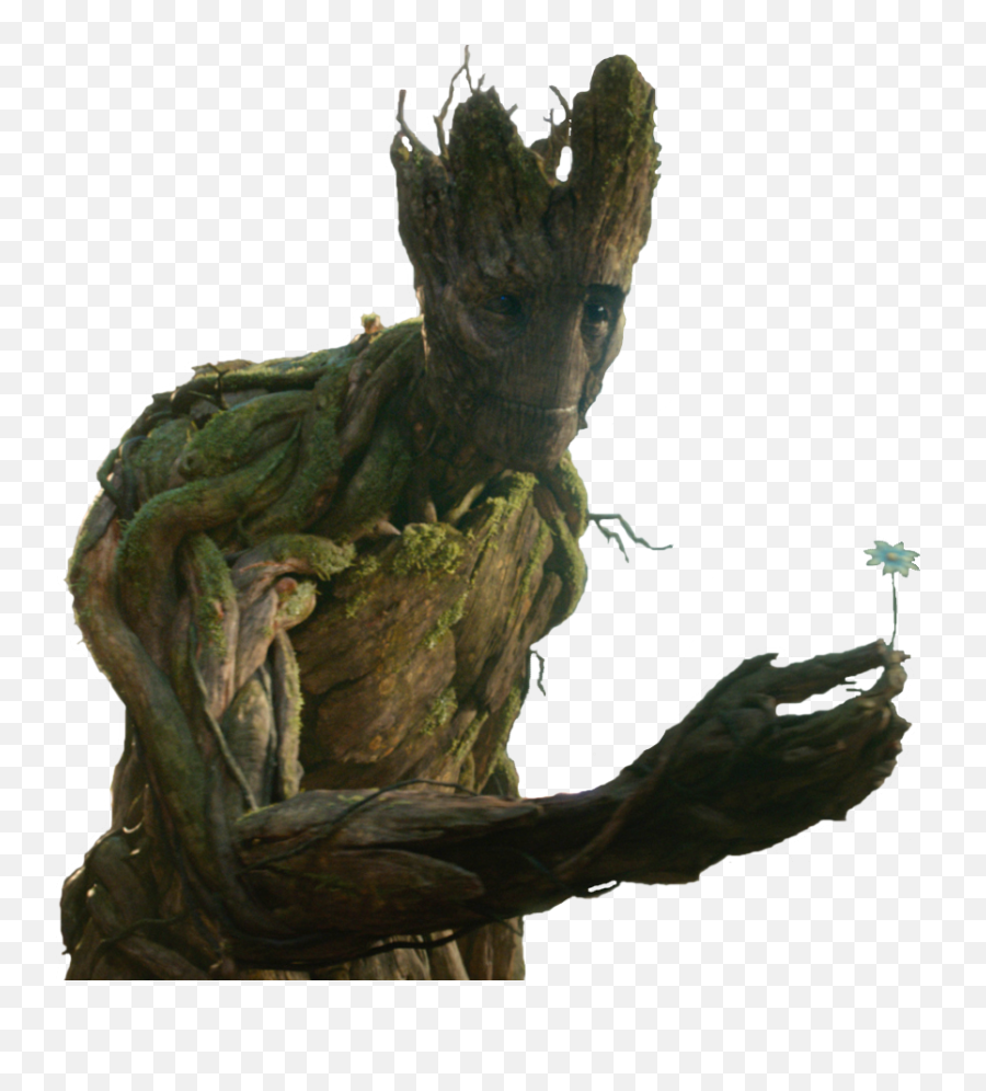 Giving Groot Reaching Out And - Groot Gives Flower To Girl Png,Groot Transparent