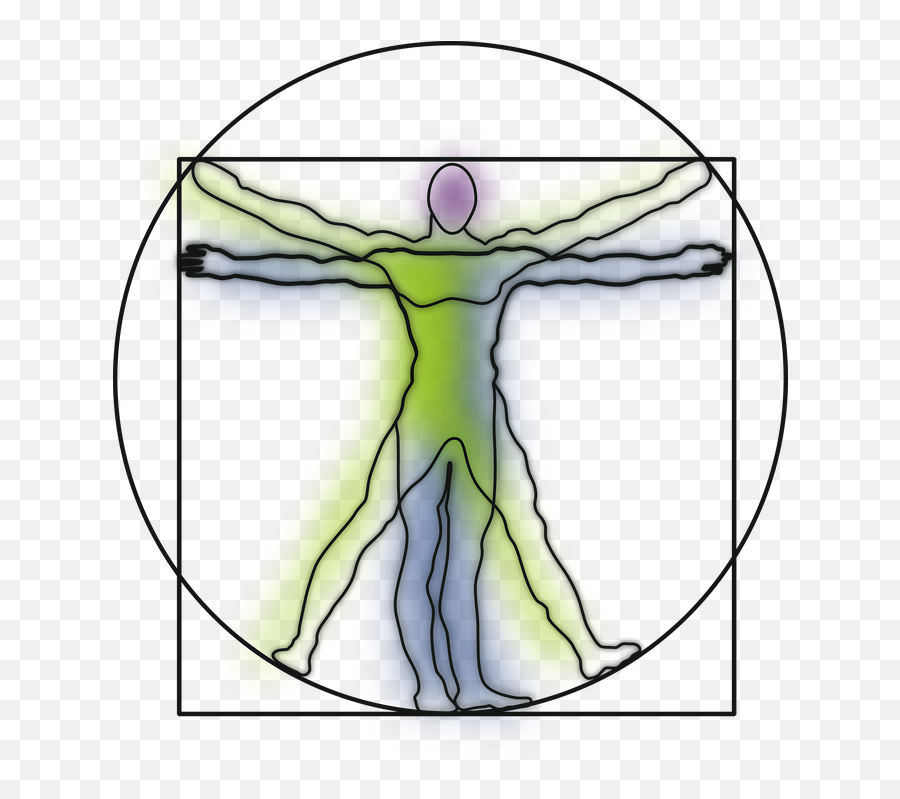 Vitruvian - Vitruvian Man Clipart Png,Vitruvian Man Logo