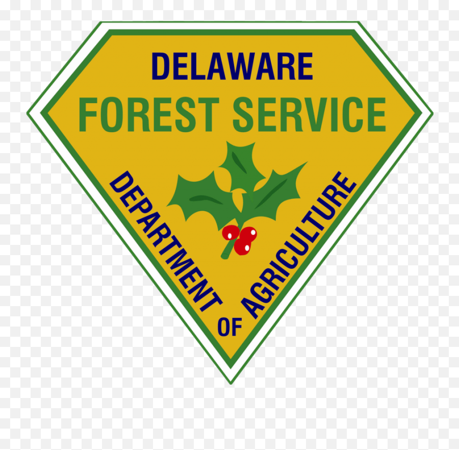 Delaware Forest Service Seeks New - Delaware Forest Service Png,Forest Service Logo