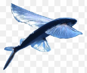 Blue Bird Flying Logo - Transparent Flying Fish Png,Flying Fish Logo