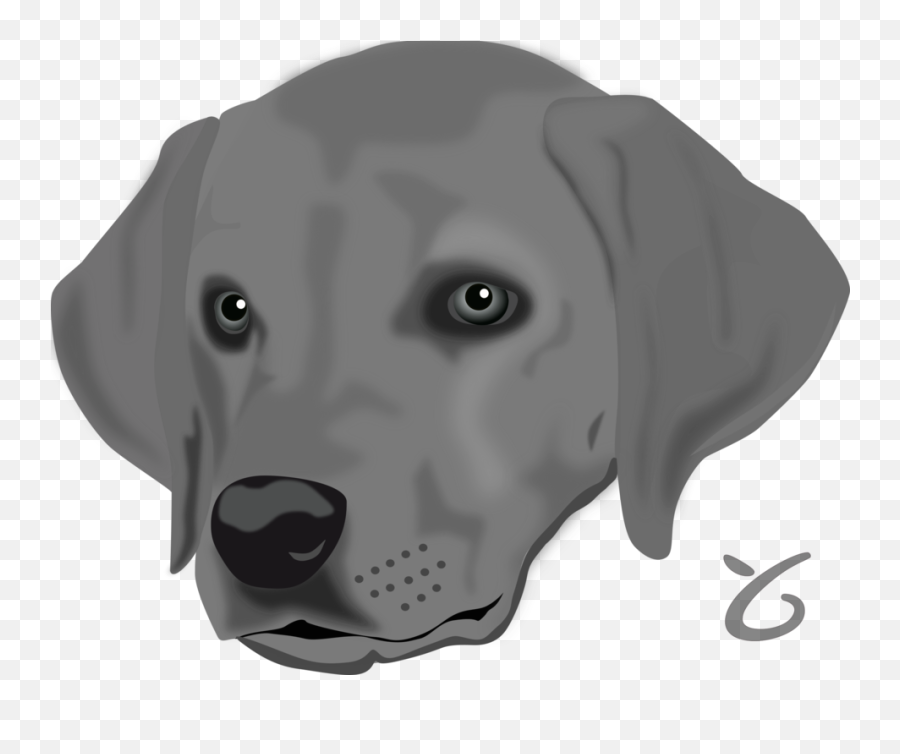 Headpuppyweimaraner Png Clipart - Royalty Free Svg Png Dog Head Clip Art,Dalmatian Png