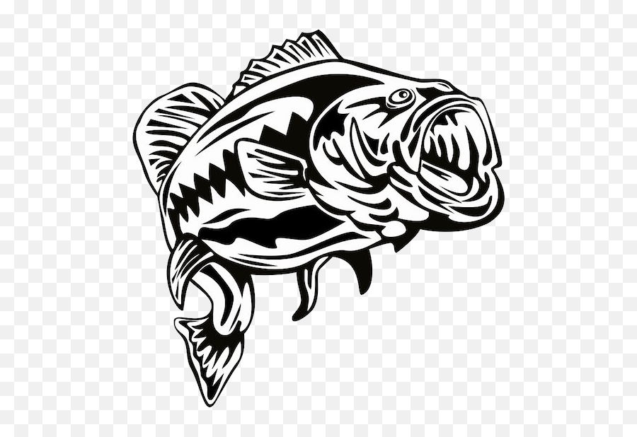 Download Bass Fish Png - Transparent Largemouth Bass Clipart,Largemouth Bass Png