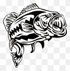 Download Bass Fish Png - Transparent Largemouth Bass Clipart,Largemouth Bass Png