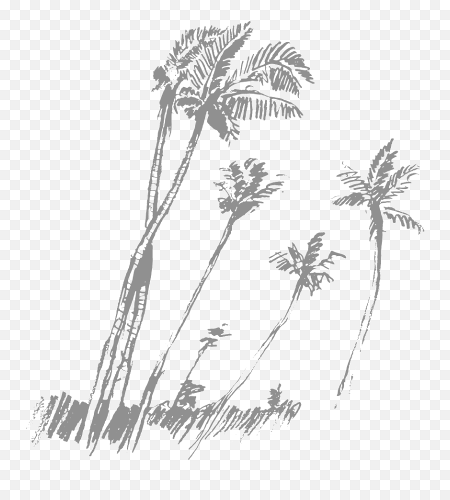 Black Palm Tree Png - Palm Trees Drawing 305355 Vippng Vector Graphics,Palm Trees Png